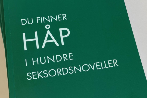 Forsiden av boka Du finner håp i hundre seksordsnoveller.