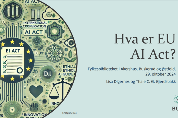Hva er EU AI Act?