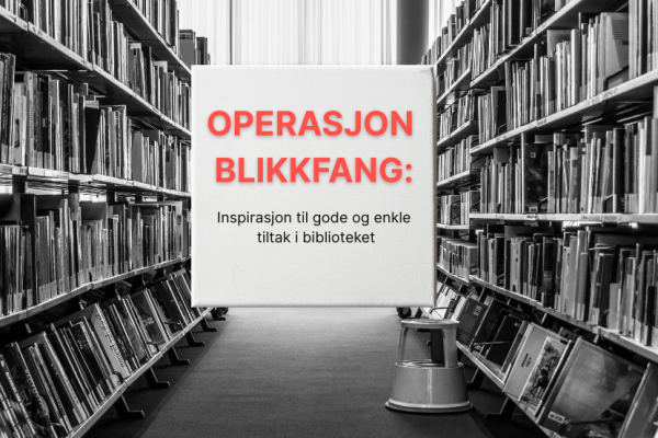 Operasjon Blikkfang (11. mai 2026)